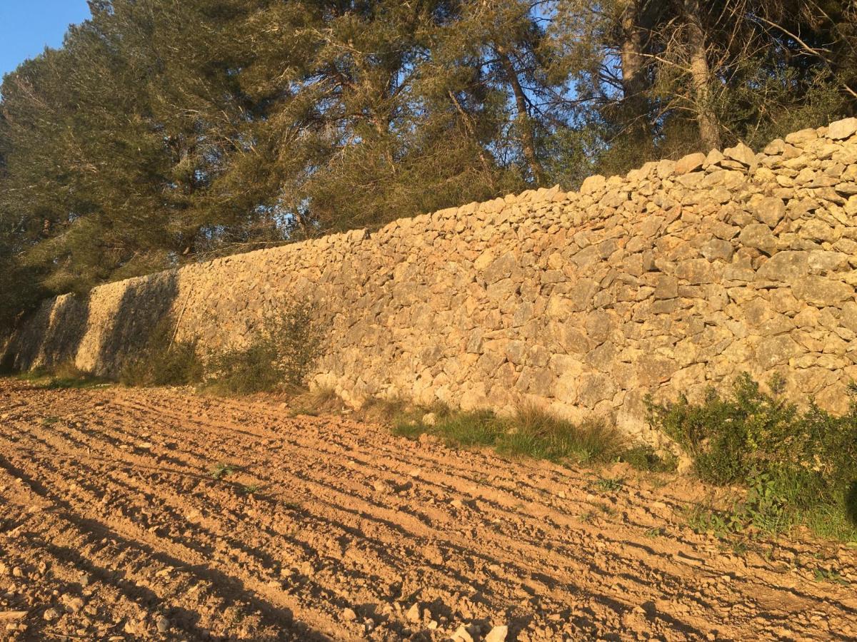 Willa Casa Con Gran Jardin Cerca De La Playa - Baix Tarragona Zewnętrze zdjęcie